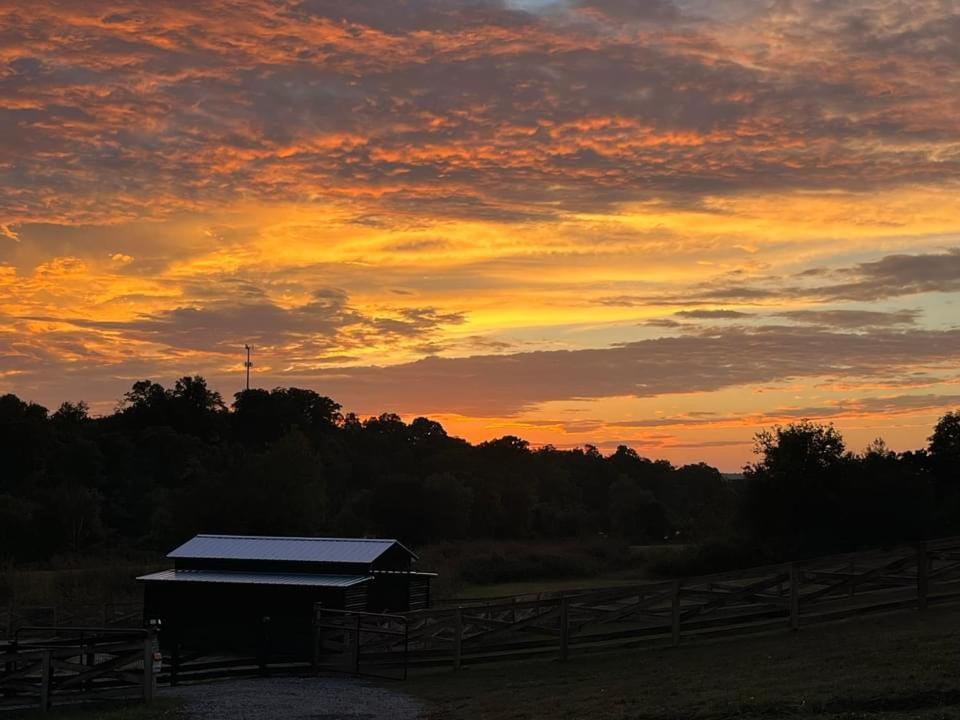 Luxury Riverfront Tiny Home- Amazing Views #555 Ferienhaus Strawberry Plains